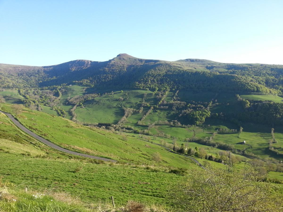 Auberge Du Col De Neronne Hotel Le Falgoux ภายนอก รูปภาพ
