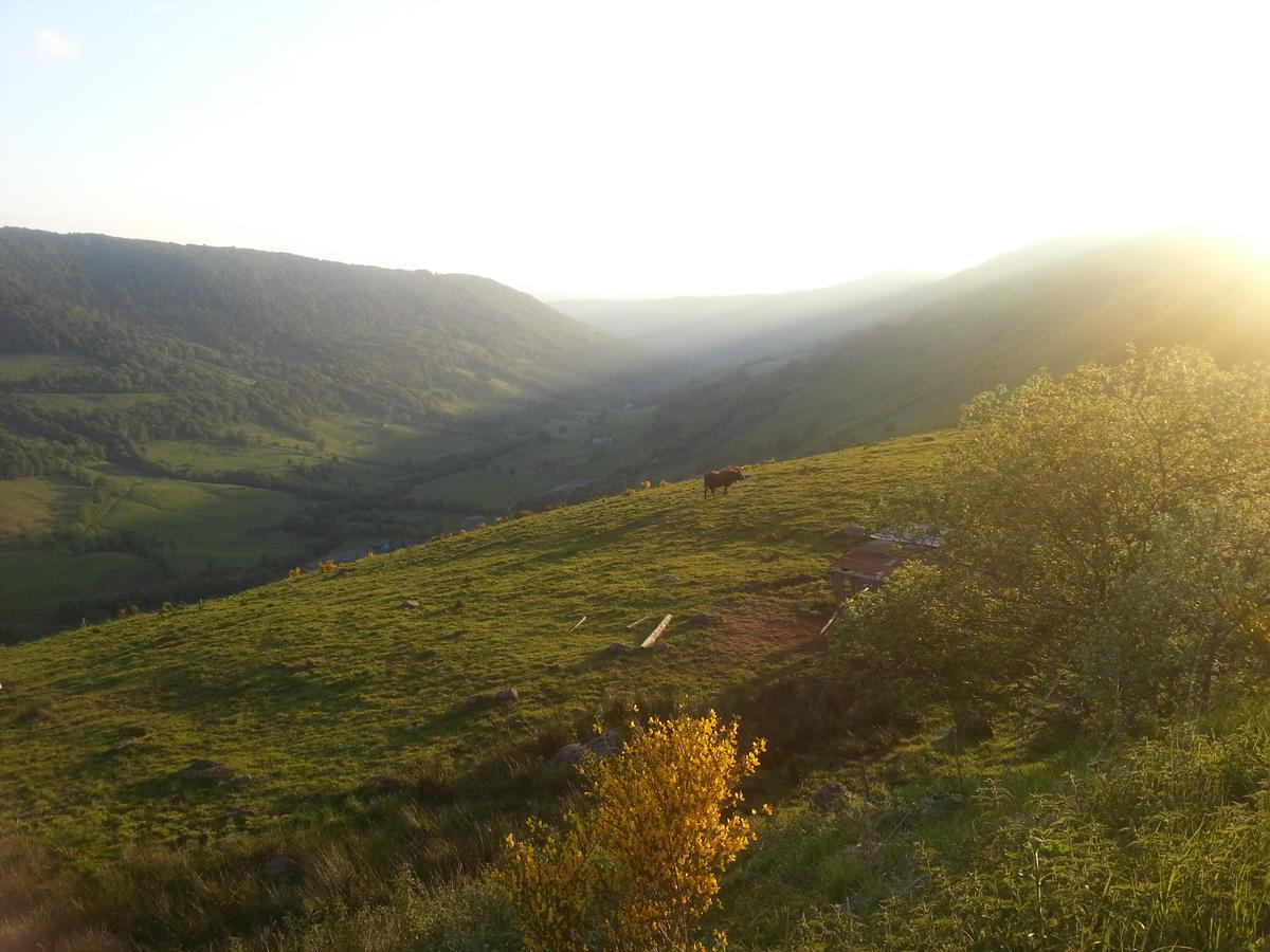 Auberge Du Col De Neronne Hotel Le Falgoux ภายนอก รูปภาพ